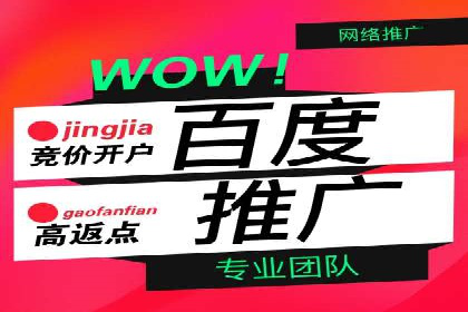 信息流托管在社交媒体营销中的应用案例